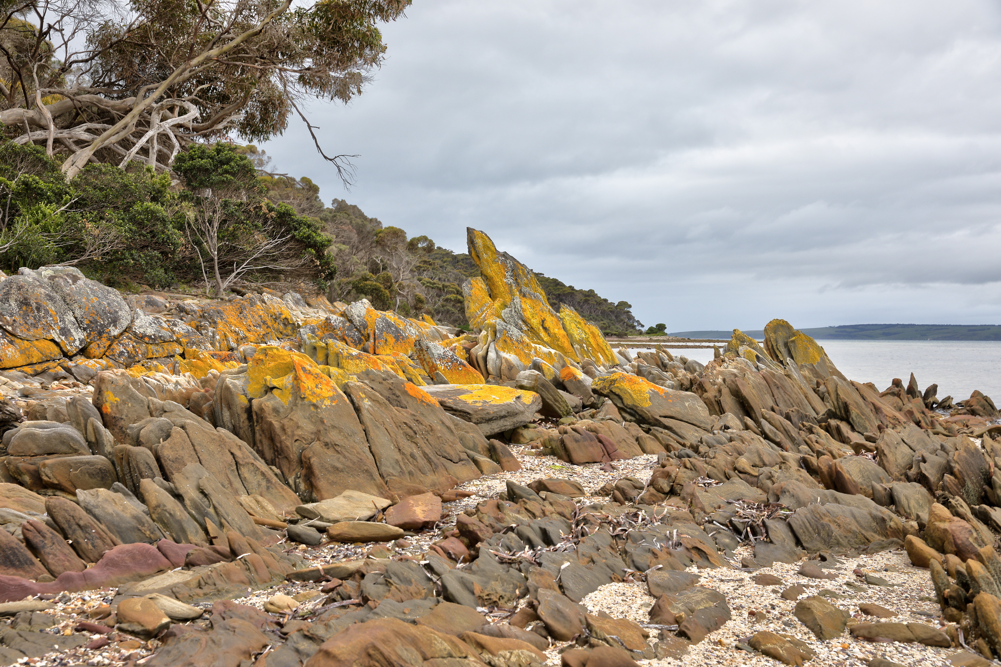 2019 10 06 14 22 09 Canon EOS 5D Mark IV 0012